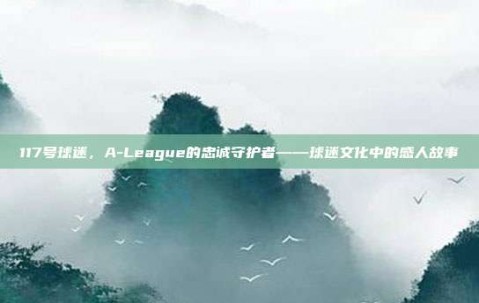 117号球迷，A-League的忠诚守护者——球迷文化中的感人故事