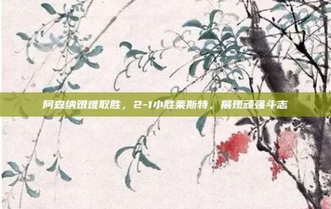 阿森纳艰难取胜，2-1小胜莱斯特，展现顽强斗志