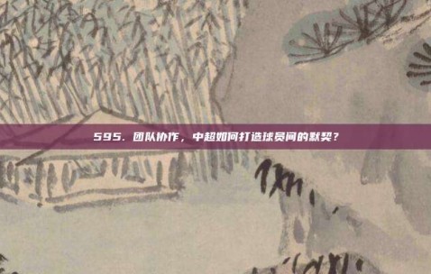 595. 团队协作，中超如何打造球员间的默契？