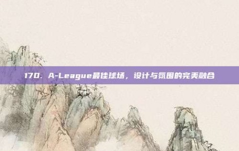 170. A-League最佳球场，设计与氛围的完美融合