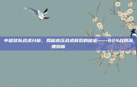 中超球队战术分析，揭秘高压战术背后的秘密——824战例深度剖析 🔍📉