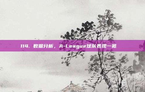 114. 数据分析，A-League球队表现一览📊