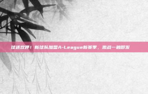 球迷欢呼！新球队加盟A-League新赛季，激战一触即发🎉