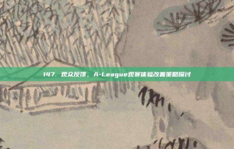 147. 观众反馈，A-League观赛体验改善策略探讨