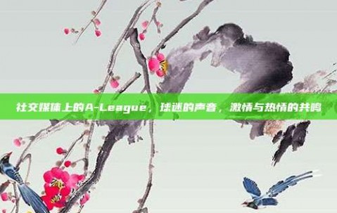 社交媒体上的A-League，球迷的声音，激情与热情的共鸣