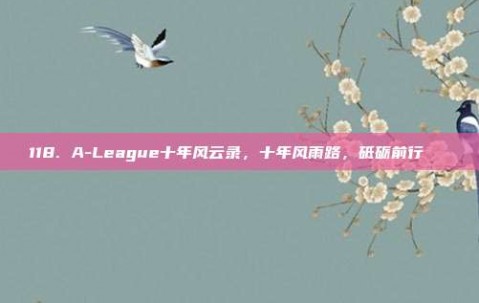 118. A-League十年风云录，十年风雨路，砥砺前行📖