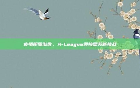 疫情阴霾渐散，A-League迎接复苏新挑战