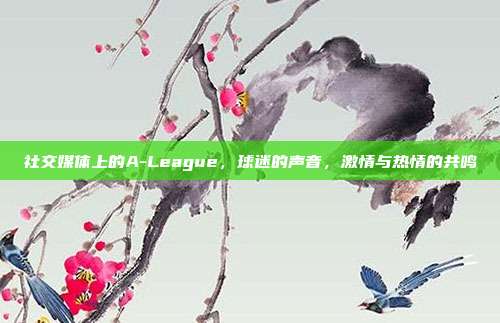 社交媒体上的A-League，球迷的声音，激情与热情的共鸣