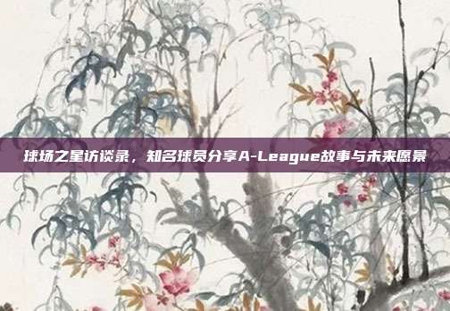 球场之星访谈录，知名球员分享A-League故事与未来愿景