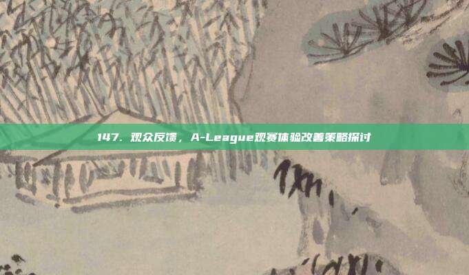 147. 观众反馈，A-League观赛体验改善策略探讨