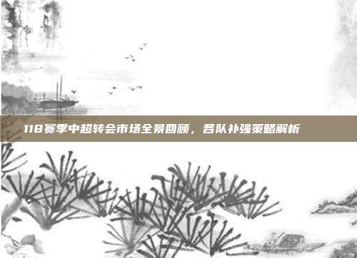 118赛季中超转会市场全景回顾，各队补强策略解析 🛠️