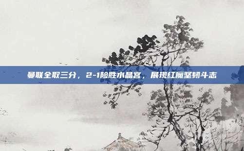 曼联全取三分，2-1险胜水晶宫，展现红魔坚韧斗志