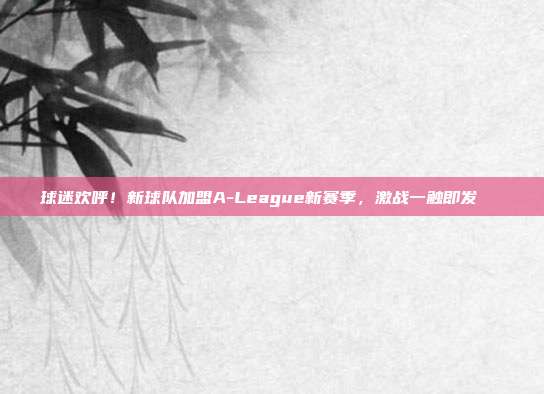 球迷欢呼！新球队加盟A-League新赛季，激战一触即发🎉