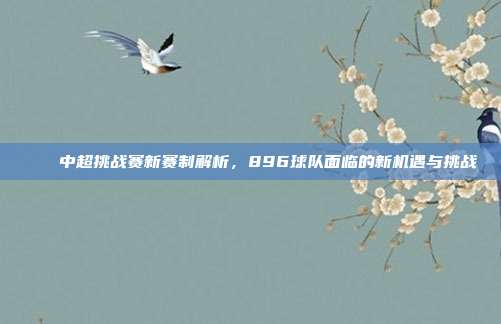 🌟中超挑战赛新赛制解析，896球队面临的新机遇与挑战⚽