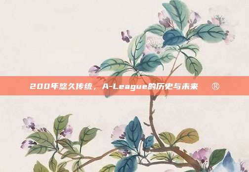 200年悠久传统，A-League的历史与未来🔮