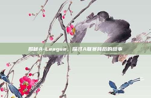 揭秘A-League，探寻A联赛背后的故事